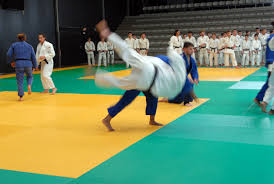 Maison Des Sports Des Iris Ville De Lormont