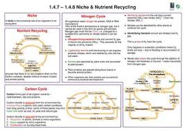 Carbon cycle nitrogen cycle phosphorus cycle. 1 4 8 Nutrient Recycling Ppt Video Online Download