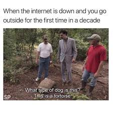 Save and share your meme collection! Internet Down Time Http Onlineclock Net Bg Nature Tortoise Dogs Pet Dogstagram Pets Dogowners Dogsoffici Funny Photos Funny Memes Funny Pictures
