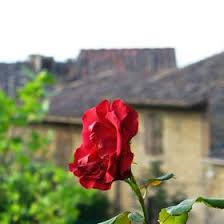 This summer solstice arrives as the u.s. 130 Summer Solstice Party Ideas In 2021 Solstice Party Summer Solstice Party Summer Solstice