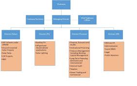 Organizational Structure Solar Energy Corporation Of