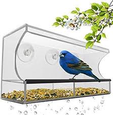 Bird House Kits For Adults Amazon Amazon Com Best Window Bird Feeder With Strong Suction Cups Seed Tray Outdoor Birdfeeders For Wild Birds Window Bird Feeder Bird Feeders Best Bird Feeders
