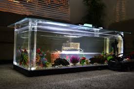 Aquarium mini ini sangat cocok untuk ikan kecil,seperti ikan cupang,molly,neon dll. 9 Langkah Cara Membuat Aquarium Untuk Pemula Ada Tips Merawat