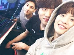 Feeldog Bigstar