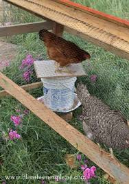 We did not find results for: Diy Chicken Waterer And Feeder From 5 Gallon Buckets