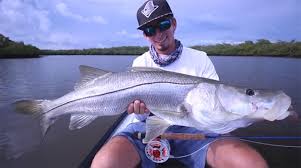 Mullet, croakers and minnows are going to be successful and entice some of some may argue snook are the best fish to catch on this list. Fish Facts Common Snook Centropomus Undecimalis Orvis News