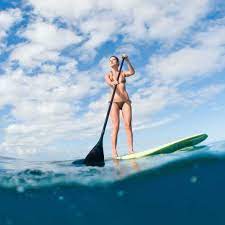 La Jolla: Stand Up Paddle Board Rental | GetYourGuide
