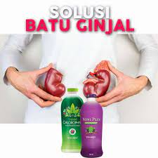 Biasanya, hal ini disebabkan oleh beberapa kondisi seperti produksi hormone sakit pinggang sebelah kanan bisa dirasakan awal kehamilan, seringkali karena tubuh mulai memproduksi hormon yang disebut relaxin. Jual Obat Sakit Pinggang Sebelah Kanan Bagian Belakang Noniplus Klorofil Jakarta Timur Store Khusus Kesehatan Tokopedia
