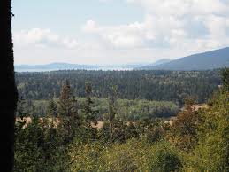 The guemes mountain trail starts out climbing through maples and firs, switchbacking several times to ascend the west slope of the mountain. Guemes Mountain Washington Trails Association