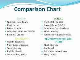 Comparing Ecosystem Aquatic Terrestrial Ppt Download