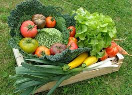 Voici La Liste De Ce Qu Il Faudrait Planter En Theorie Pour Avoir Assez De Legumes Et De Fruits Pour Une Famille De Potager Jardin Potager Jardinage Potager