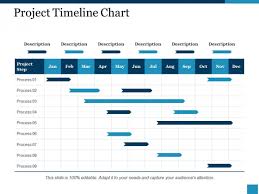 Project Timeline Chart Ppt Powerpoint Presentation Portfolio