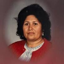 Lupe Flores Obituary