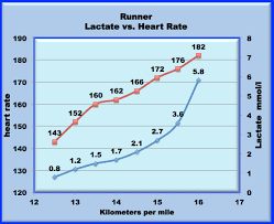 Lactate Science And Running