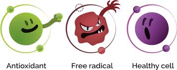 Antioxidant Network and Food Supplements - Cor.Con. International