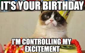 Slikovni Rezultat Za Cat Birthday Meme Grumpy Cat Birthday Funny Happy Birthday Meme Funny Grumpy Cat Memes
