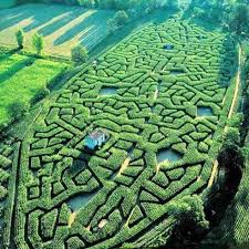 The Maze Of Cordes Sur Ciel France Parks Gartenkunst Irrgarten
