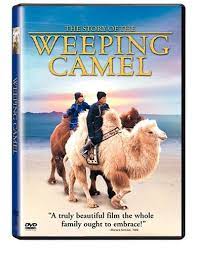 An australian woman was killed by a pet camel given to her as a 60th birthday present after the meet the only two true camels. Amazon Com The Story Of The Weeping Camel Janchiv Ayurzana Chimed Ohin Amgaabazar Gonson Zeveljamz Nyam Ikhbayar Amgaabazar Odgerel Ayusch Enkhbulgan Ikhbayar Uuganbaatar Ikhbayar Guntbaatar Ikhbayar Munkhbayar Lhagvaa Ariunjargal Adiya