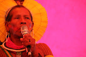 Presidente da Funai promete publicar relatórios de identificação de Terras  Indígenas até o fim desta semana