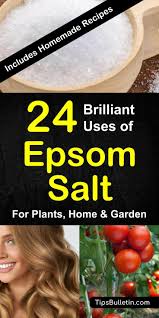 Epsom salt or magnesium sulfate can be applied to your potted plants or garden area if your plants suffer from a mineral deficiency of either magnesium or epsom salt, if used in the right proportion, is not only capable of enriching and nourishing your plant's health but is also super effective in keeping. 24 Brilliant Epsom Salt Uses For Plants Home And Garden