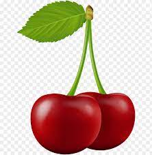 Cherry blossom petals material, cherry blossoms, flowers png. Cherries Clipart Coffee Cherry Png Image With Transparent Background Toppng