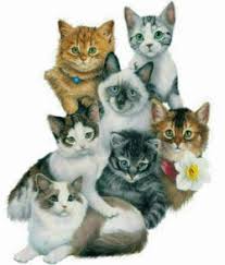 Check spelling or type a new query. Sunnyside Pet Healthcare Center Sunnyside Ny