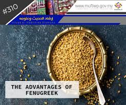Menggunakan serbuk halba (yang dah ditumbuk) campur dengan madu. Pejabat Mufti Wilayah Persekutuan Irsyad Al Hadith Series 310 The Advantages Of Fenugreek