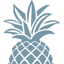 Ananas Wellness Amtsvejen 211 hundested