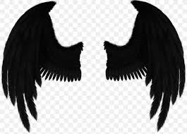 First, the irony that someone who adored purity is now drawing power from human corruption, second that is a literal fallen angel, and third, that s/he is about to go down. Drawing Fallen Angel Art Png 1024x735px Drawing Angel Art Beak Black And White Download Free
