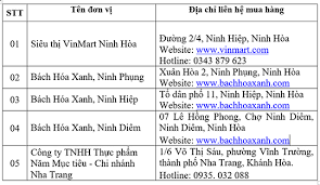 Vinmart nguyễn văn cừ 2. Ninh Hoa Ä'ong Cá»­a 17 Chá»£ Truyá»n Thá»'ng Tá»• Chá»©c Ban Hang Online Bao Khanh Hoa Ä'iá»‡n Tá»­