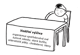 Výsledek obrázku pro hladovění