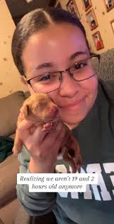 I always knew she was the one💗#goldensoftiktok#dogsoftiktok#goldenret...