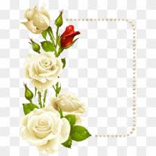 1,695 free images of flower border. Rose Border Png Transparent For Free Download Pngfind