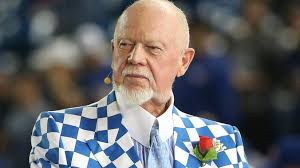 Don Cherry: Canadian hockey pundit fired for poppy rant
