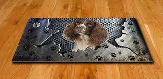 Image result for anglický špringršpaněl