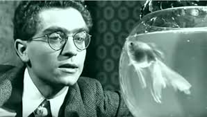 Base de données de films français avec images