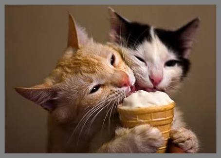 images?q=tbn:ANd9GcTNiYP9w4T_TqDvh1tgHRe19pC5yL5ie2jqk0xsVM_IMkxUGkE2L_tjh-GY