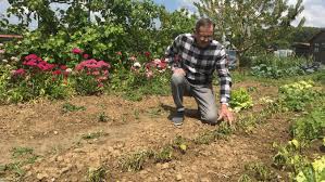 Colere Apres Du Vandalisme Aux Jardins Familiaux De Noyon