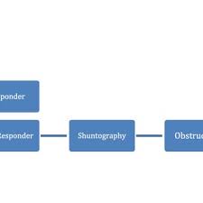 Pdf Secondary Deterioration In Patients With Normal Pressure Hydrocephalus After Ventriculoperitoneal Shunt Placement A Proposed Algorithm Of Treatment