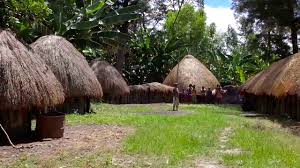 Selain jadi tempat tinggal, honai juga multifungsi. Mengenal Rumah Adat Honai Khas Papua Yang Unik