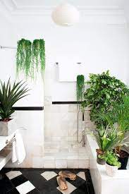 A Plethora Of Plants In Every Room Bathroom Plants Shower Plant Beautiful Bathrooms