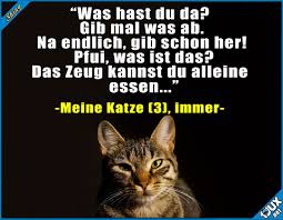 Sehr Wahlerisch Lustige Spruche Und Bilder Katze Katzen Katzenliebe Essen Lustig Niedlich Humor Spruche Lusti Lustig Lustige Spruche Katze Lustig
