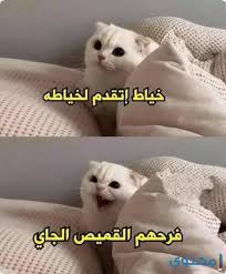 بخيل زعلان سألوه ليش زعلان؟. Ø£ÙØ¶Ù„ 200 Ù†ÙƒØª Ù…Ø¶Ø­ÙƒØ© Ø¬Ø¯Ø§ 2021 ÙˆØµÙˆØ± Ù…Ø¶Ø­ÙƒØ© Ù…ÙˆÙ‚Ø¹ Ù…Ø­ØªÙˆÙ‰