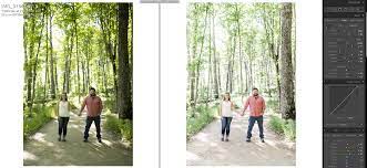 Before After Light Airy Images Using Mastin Labs Melanie Bess Editor Educator Mastin Labs Landscape Painting Lesson Image