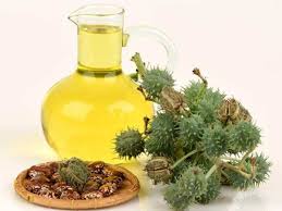 Kalonji oil will nourish the follicles with essential nutrients which it needs to have healthy hair. Ways To Use Black Seed Oil For Hair Growth