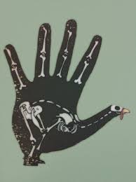 X Ray Hand Turkey Hand Turkey Turkey Drawing Farm Animals Pictures