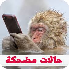 نشرت حلا شيحة منشورا عبر حسابها على إنستغرام تعلق فيه على تداول مقطع غنائي مصور من أغنية بحبك من فيلم مش أنا والذي أعلنت تبرؤها منه. Ù…Ù†Ø´ÙˆØ±Ø§Øª ÙÙŠØ³Ø¨ÙˆÙƒ Ùˆ Ø­Ø§Ù„Ø§Øª ÙˆØ§ØªØ³ Ø§Ø¨ Ù…Ø¶Ø­ÙƒØ© 2018 1 1 Apk Download Com Sowar Jamila87 Apk Free