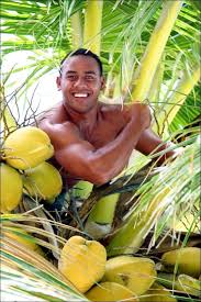 Car Rental Rarotonga For Quality Choose Polynesian Rental Cars Rarotonga Cook Islands Island