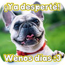 Buenos Dias Graciosos Apps No Google Play