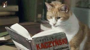 Jarosław kaczyński obchodzi 18 czerwca swoje 72. Atlas Kotow Jaroslawa Kaczynskiego Cat Reading Best Cat Gifs Cats